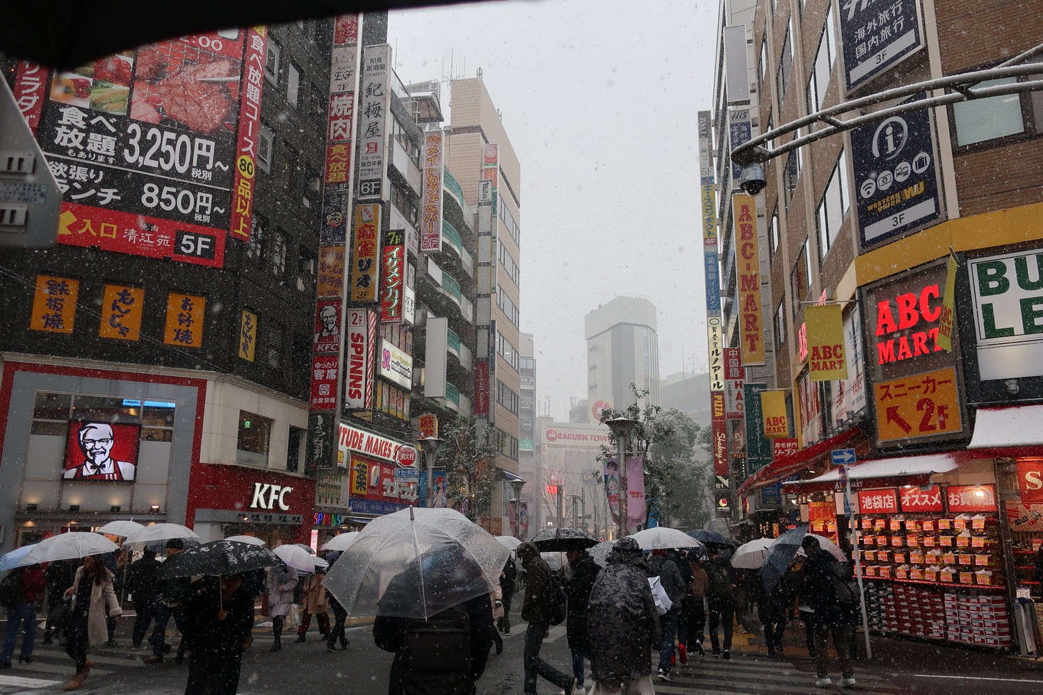  일본 여행 비지트 재팬 웹(Japan Visit Web) 작성, 어렵지 않아요! (2)