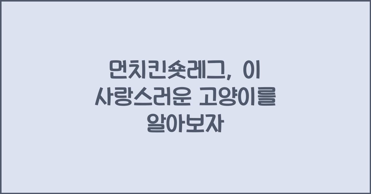 먼치킨숏레그