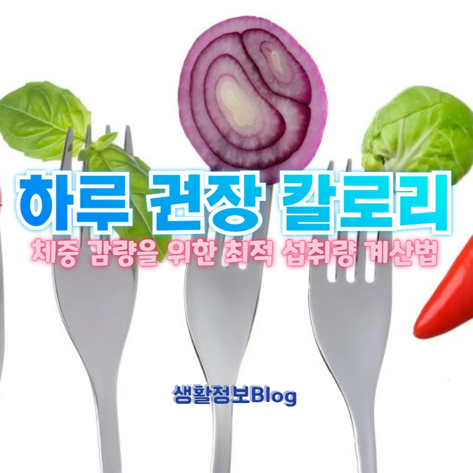 하루에 몇 칼로리를 섭취해야 할까?