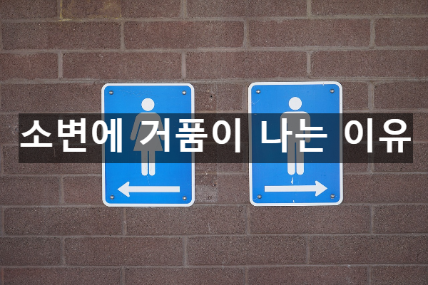  소변에 거품이 나는 이유 11가지
