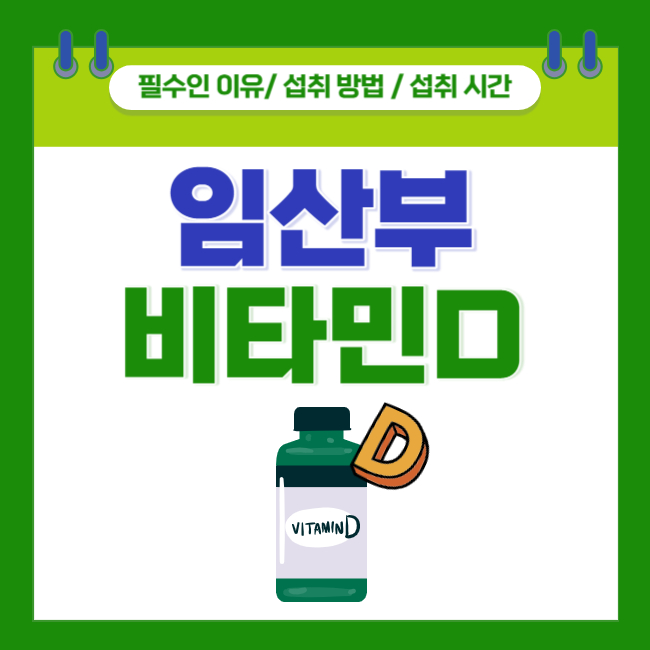  [임산부 비타민D] 필수인 이유 / 섭취 방법 / 섭취 시간