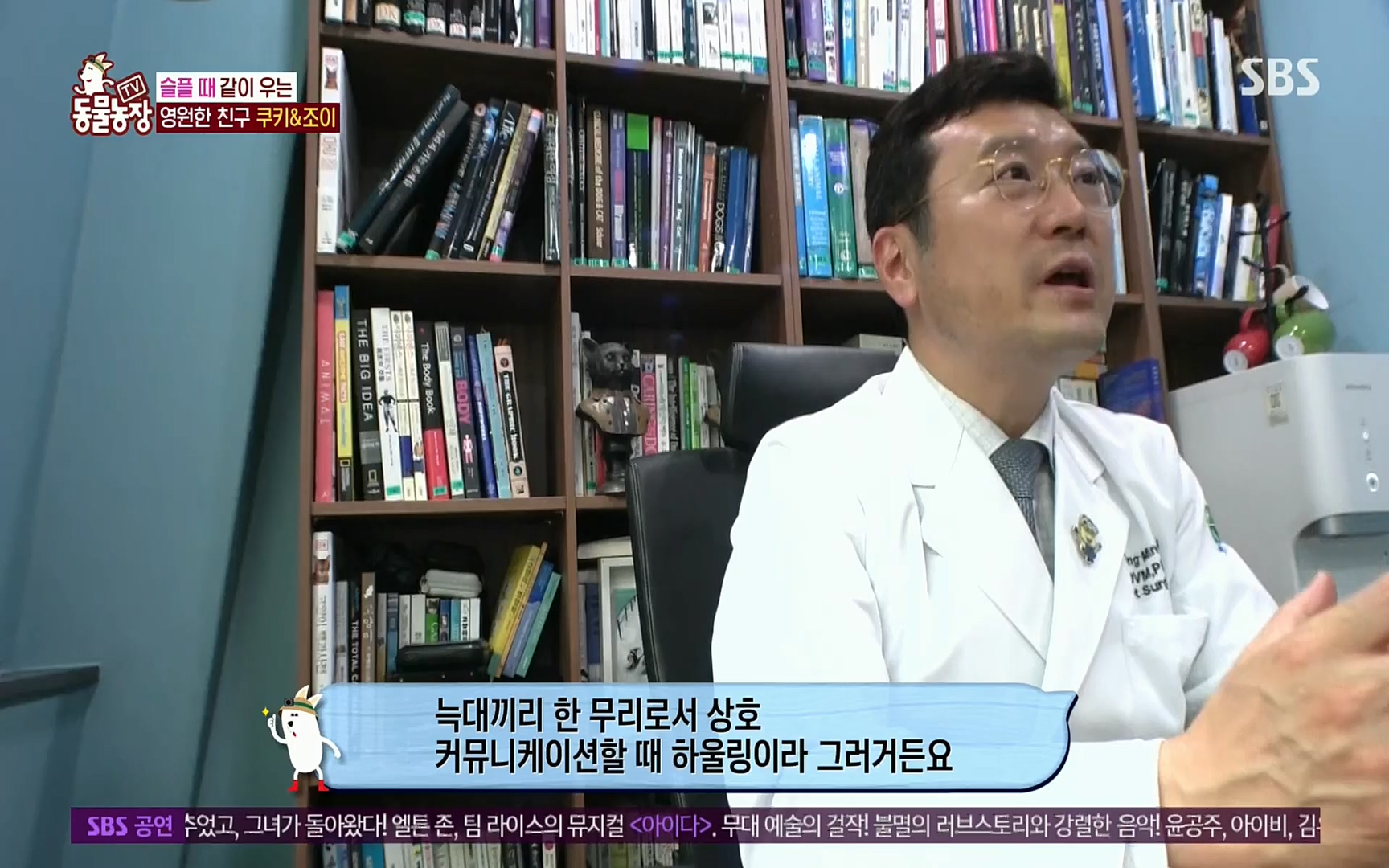 TV 동물농장.E1077.220710p.H264-F1RST.mp4_20220710_175425.183.jpg