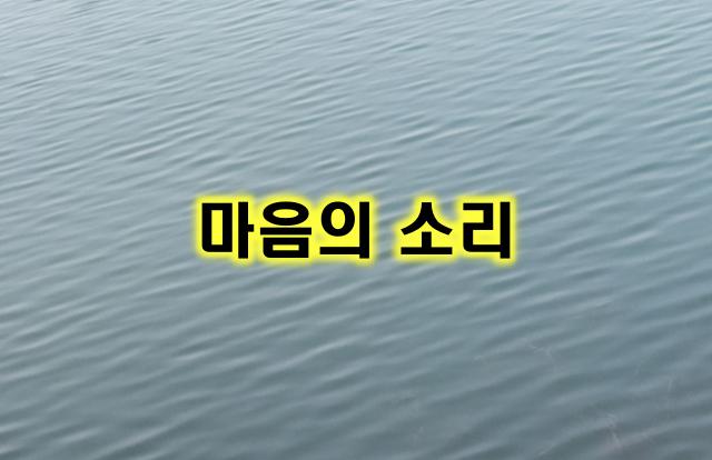 마음의 소리