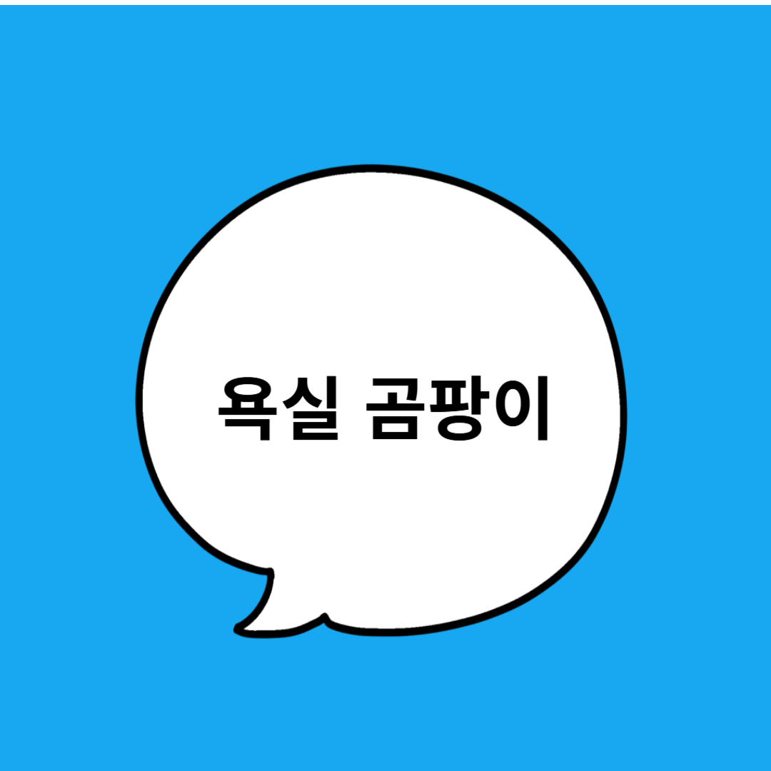 욕실 곰팡이 안 생기게 하는 습기 차단 꿀팁 총정리!