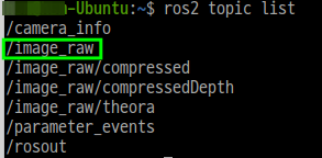 usb_cam 노드가 publish하는 topic 이름