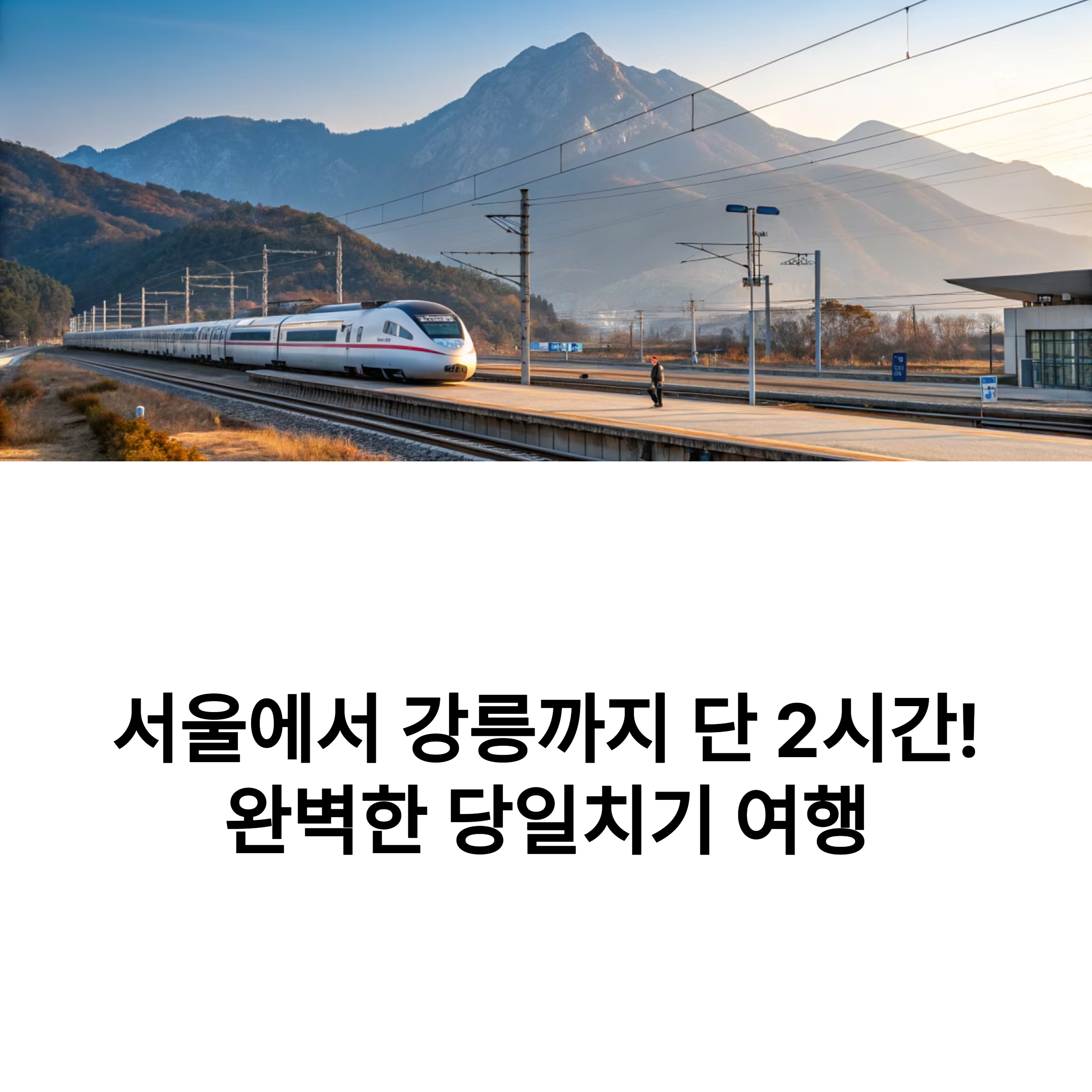KTX로 떠나는 당일치기 강릉 여행, 가성비 코스 완전 정리