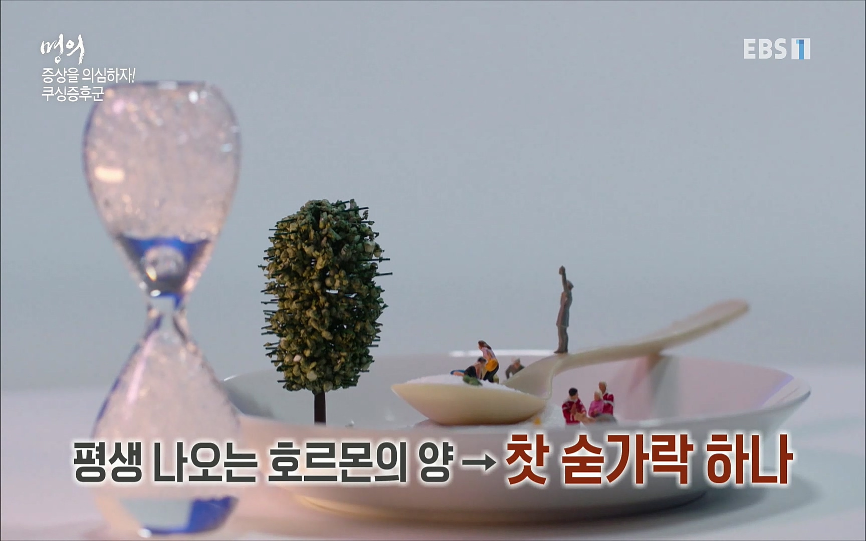 EBS 명의 헬스케어 - TV - 교육의 중심 EBS내 몸을 지배하는 7가지 호르몬 2부, 증상을 의심하자!.mp4_20220711_195841.353.jpg