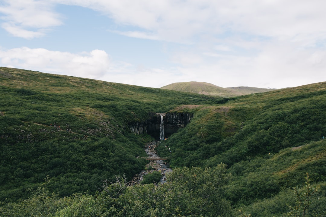 Jeju Island