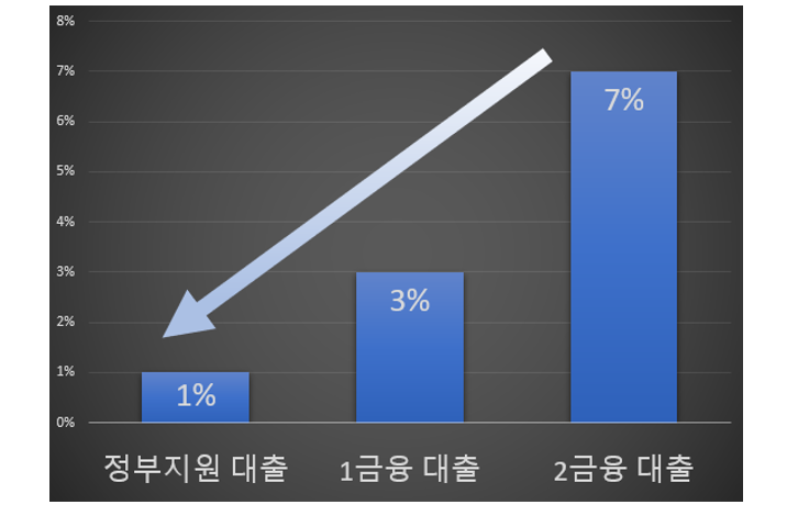 정부지원 대출