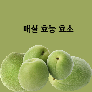  매실  효능 제철과일 6월