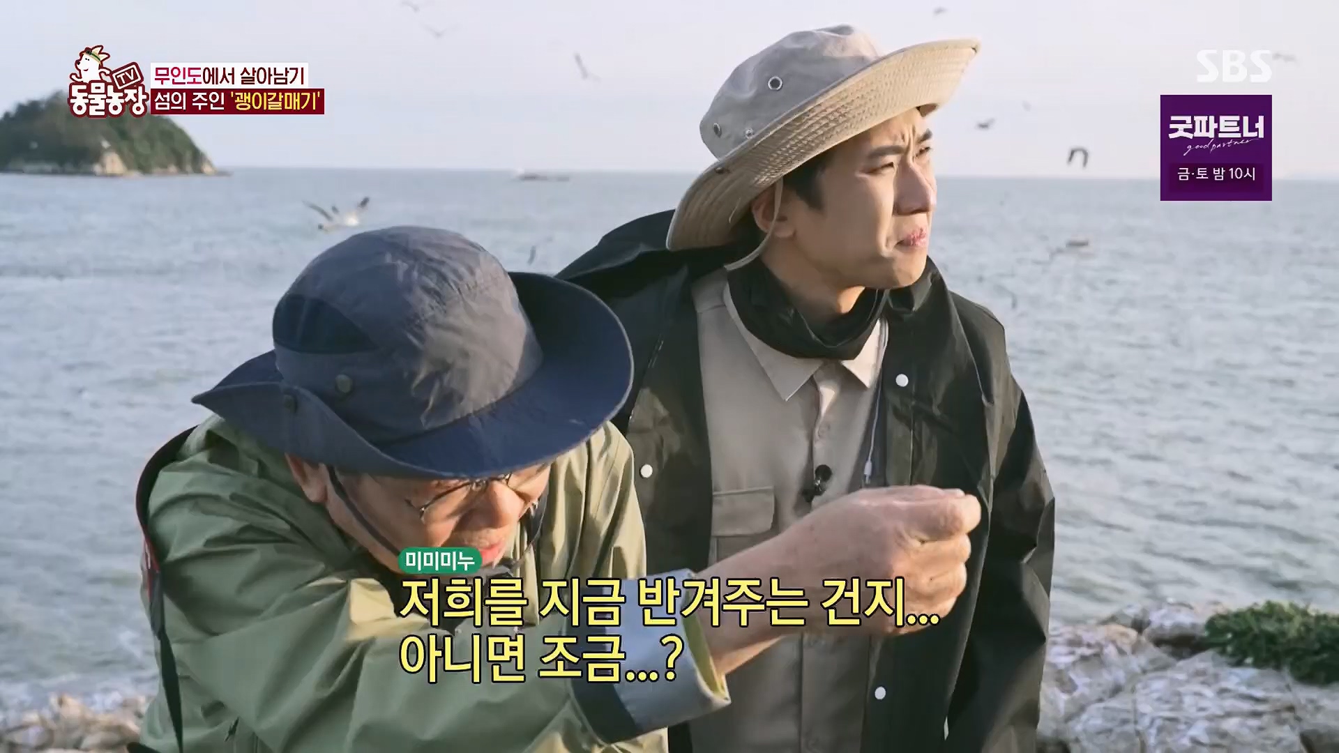 TV 동물농장.E1180.240714p.H264-F1RST.mp4_20240715_201728.326.jpg