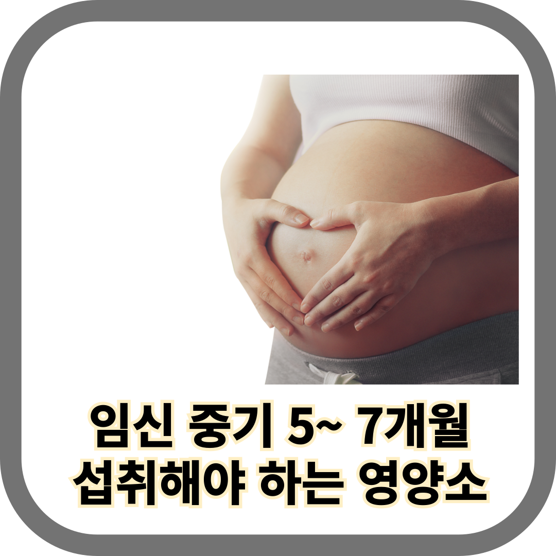 임신 중기 필수 영양소 안내