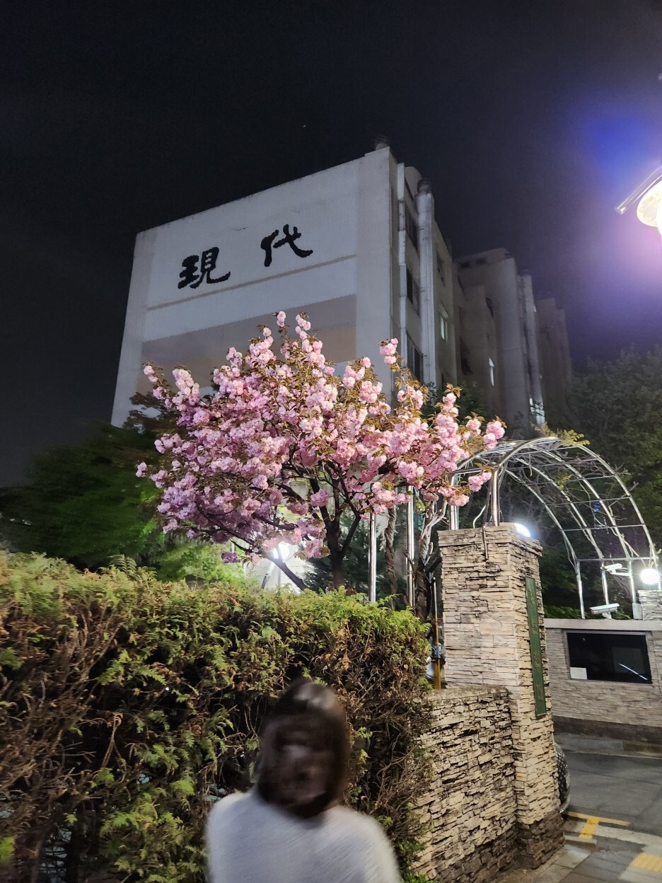 숯불직화꼬치바베큐 이미지