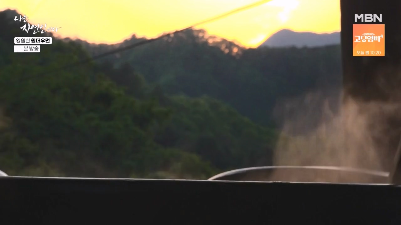 나는 자연인이다.E606.240523p-NEXT.mp4_20240523_195555.576.jpg