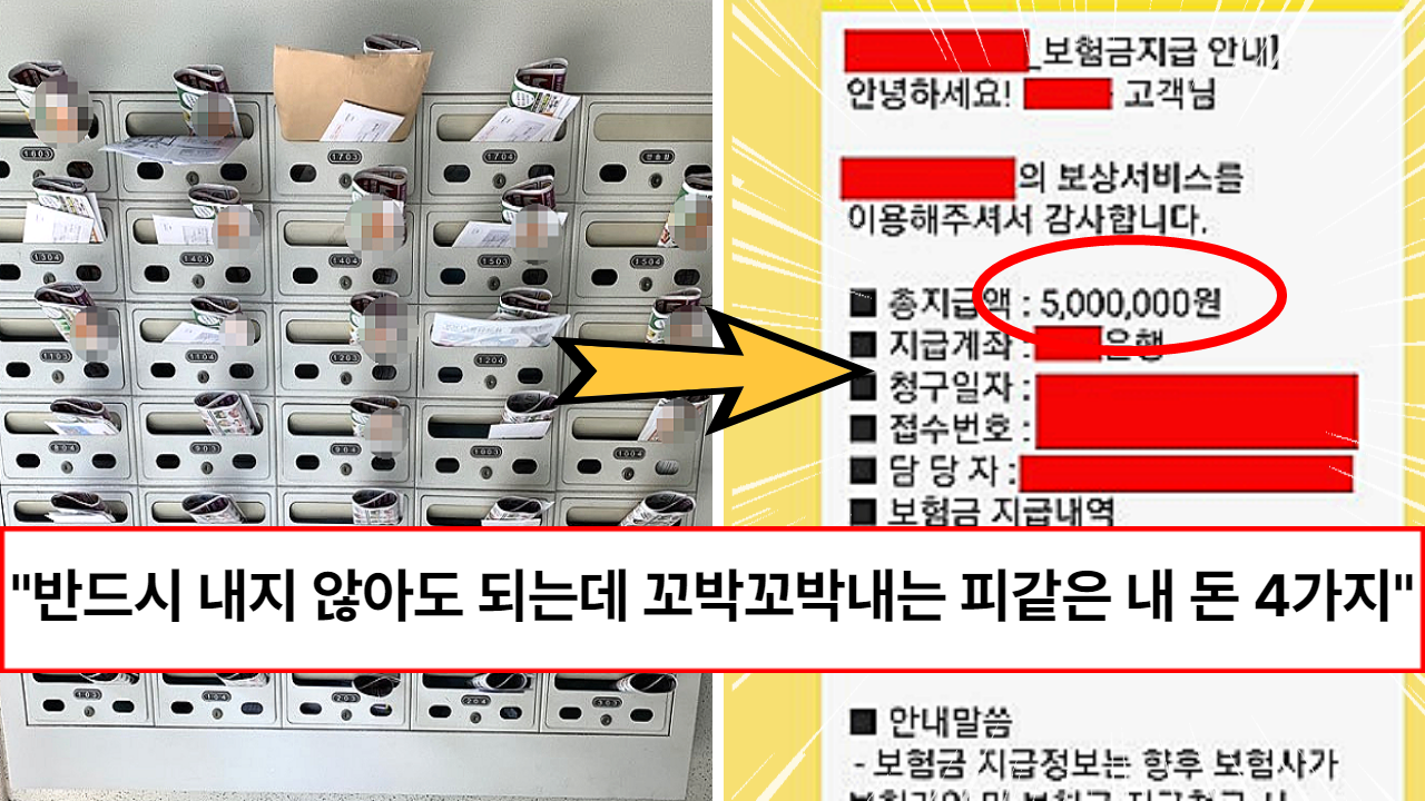 “1년에 250만원을 내고 있습니다” 전국민의 80%가 의무인줄 알고 매달 꼬박 꼬박 내고 있는 피같은 내 돈 (+4가지)