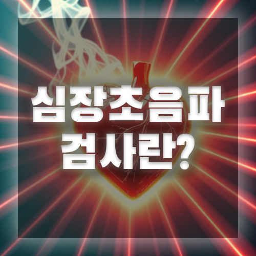 심장 초음파 검사란