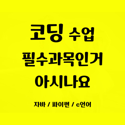  송파구 코딩과외 일대일 자바스크럽트 코딩수업 일대일 어린이 중학생 코딩학원 초등 필수과목 집중력 향상