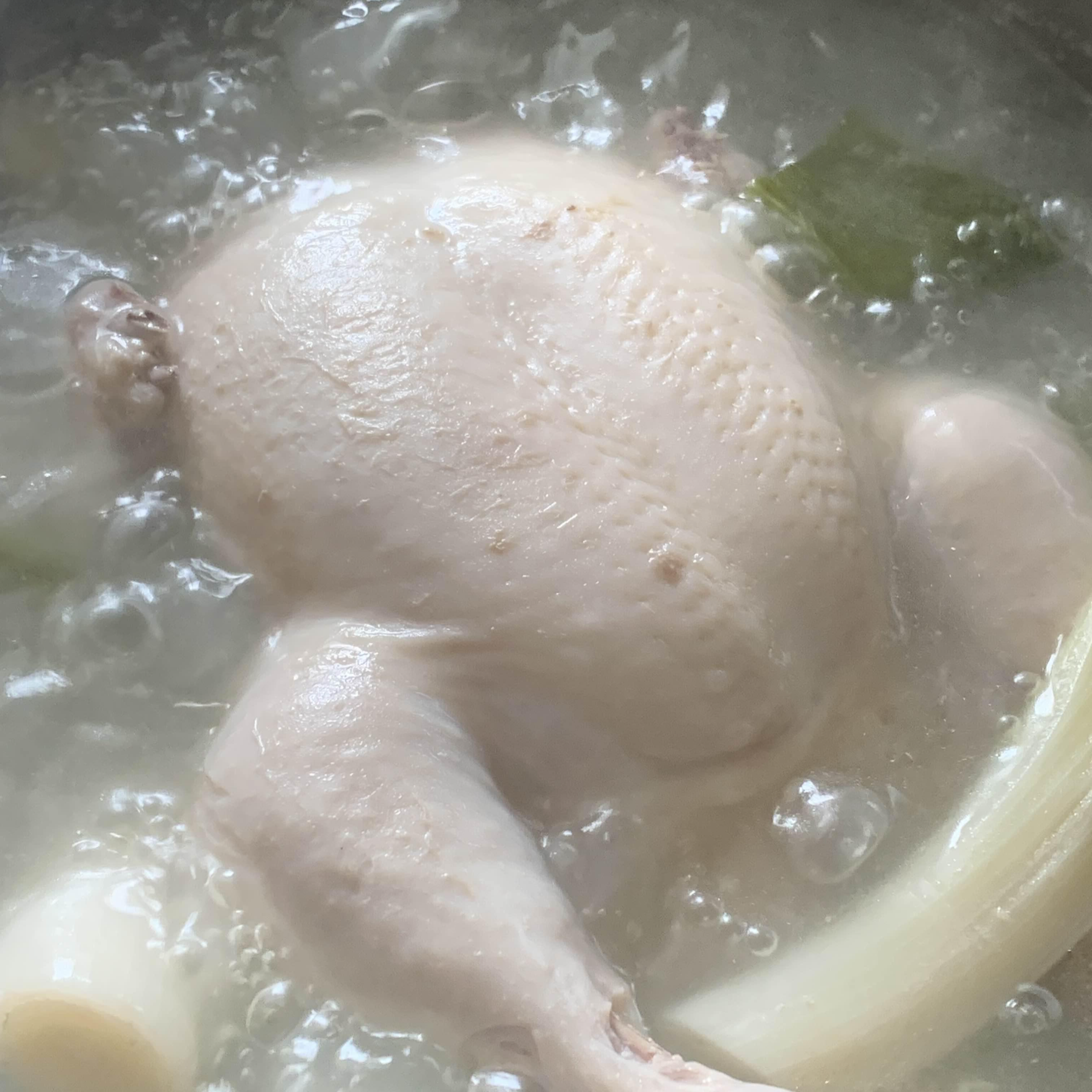  삼계탕 간단 레시피로 맛있게 끓이는법 ( 2023 초복 중복 말복 날짜)