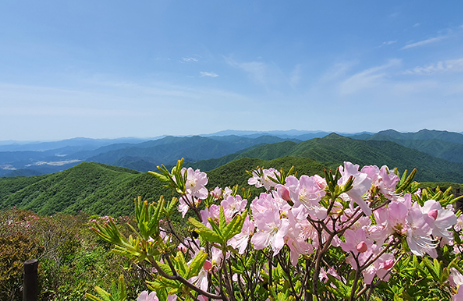 덕유산 봄