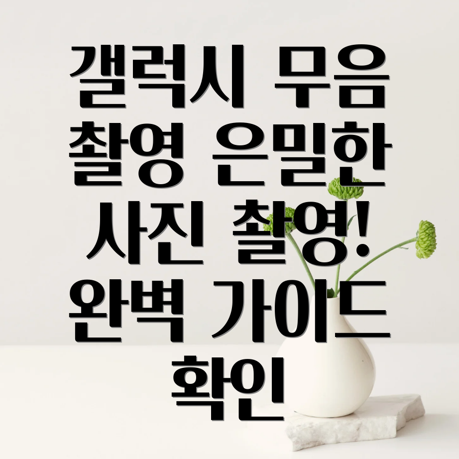 갤럭시 무음 카메라