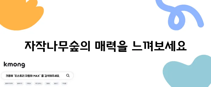 용인에서 꼭 가봐야 할 자작나무숲과 베툴라 카페를 소개합니다!