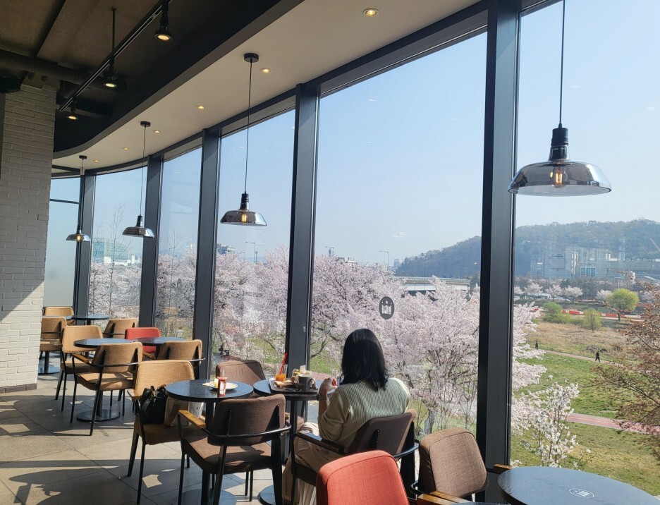할리스도안 이미지