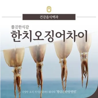 한치 오징어 차이 비교 생김새 맛 식감 완벽 분석_7
