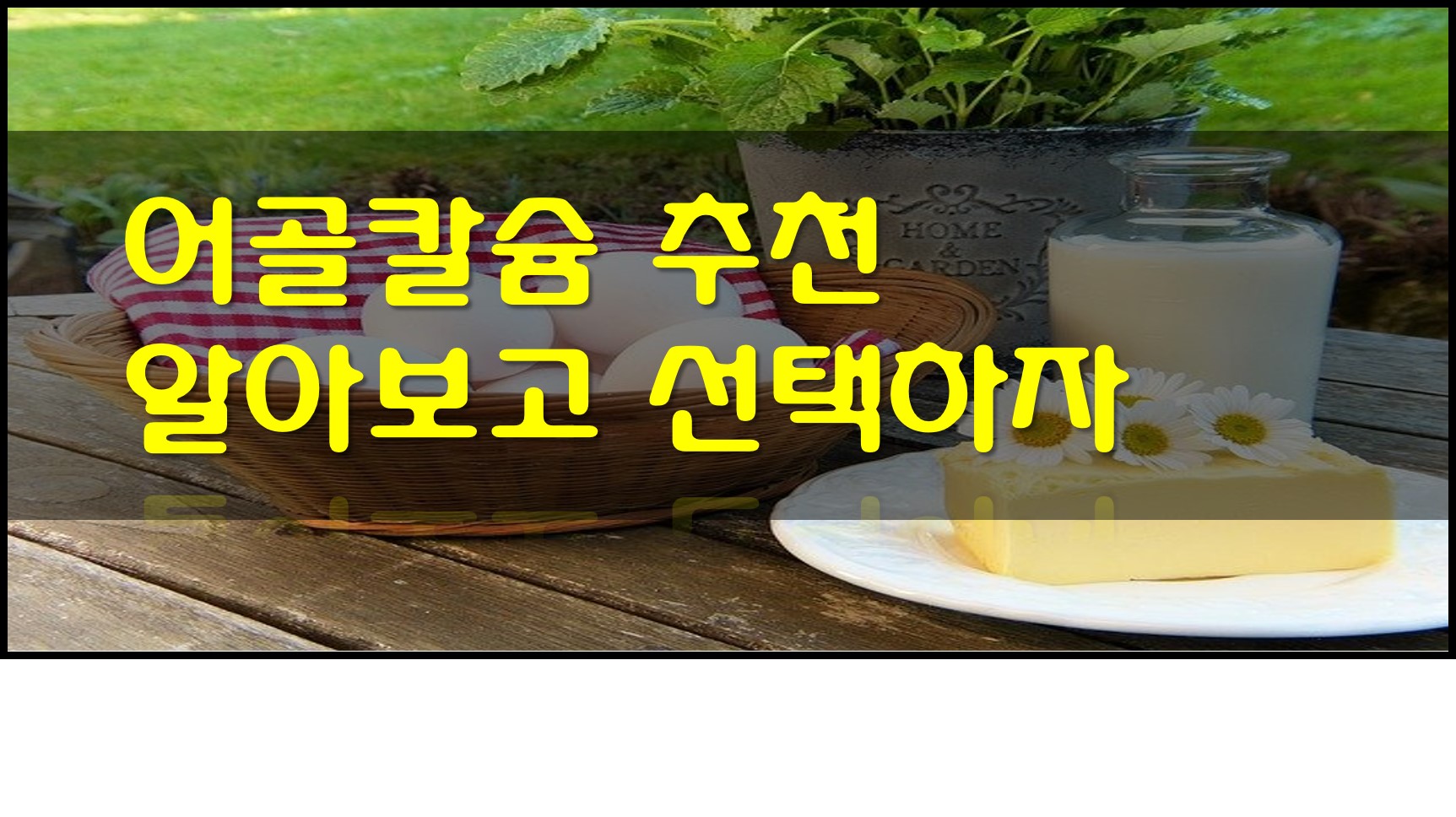  어골칼슘 추천 - 자세히 알아보고 선택하자