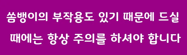 쏨뱅이의 부작용도 있기 때문에 드실 때에는 항상 주의를 하셔야 합니다