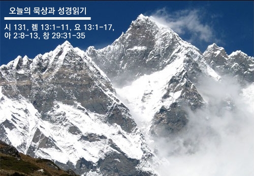  7월 8일 수 오늘의 묵상과 읽기