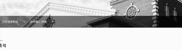 계명대 장학금: 유형 · 종류