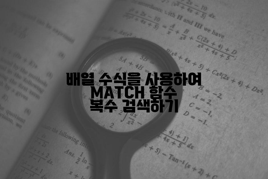배열 수식을 사용하여 MATCH 함수 복수 검색하기