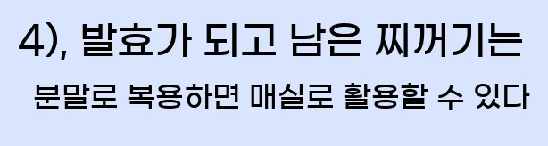  4), 발효가 되고 남은 찌꺼기는 분말로 복용하면 매실로 활용할 수 있다