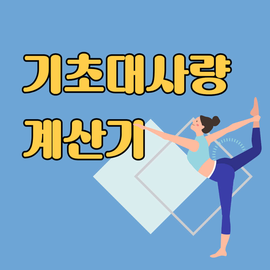 기초대사량 계산기 활용 방법