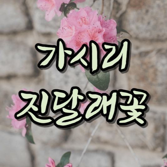 고려가요 가시리&#44; 김소월 진달래꽃