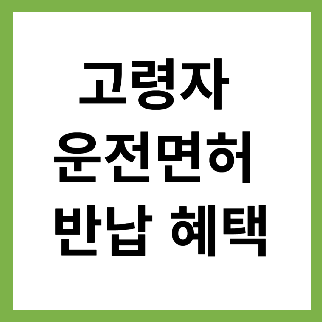 고령자 운전면허 반납 혜택