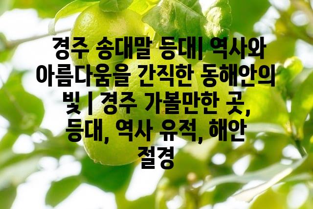 랜덤121