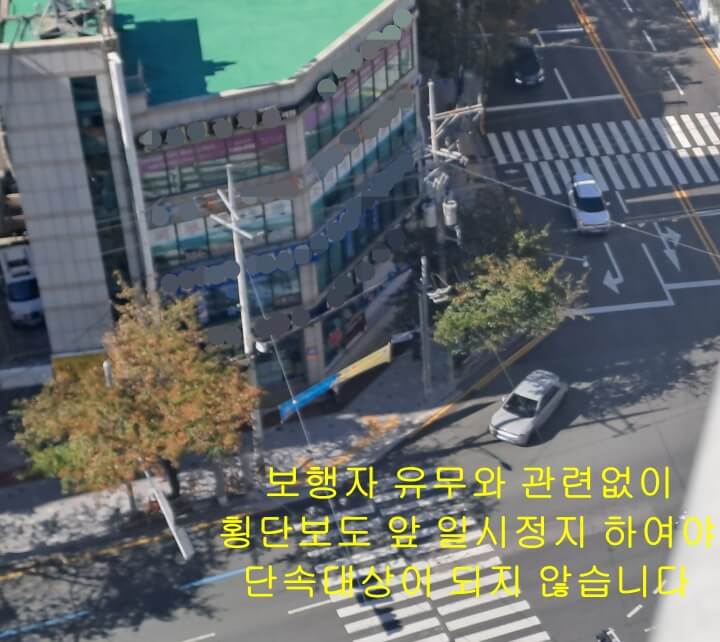 횡단보도앞일시정지하고있는차량