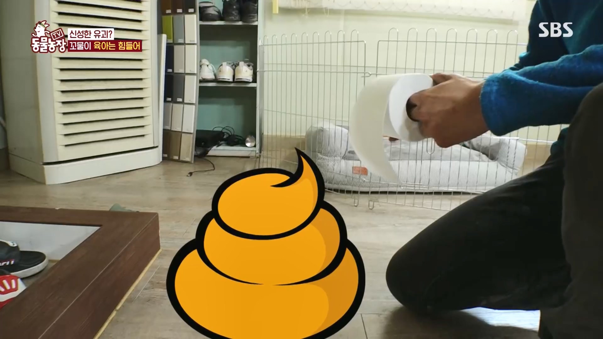 TV 동물농장.E1118.230423p.H264-F1RST.mp4_20230423_181109.550.jpg