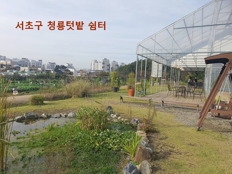 서초구 청룡텃밭 쉼터