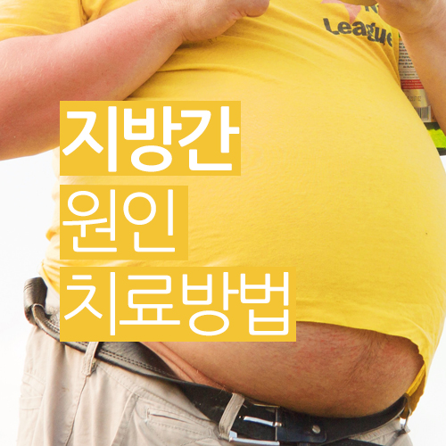  지방간이란? 치료제도 알고 싶어요