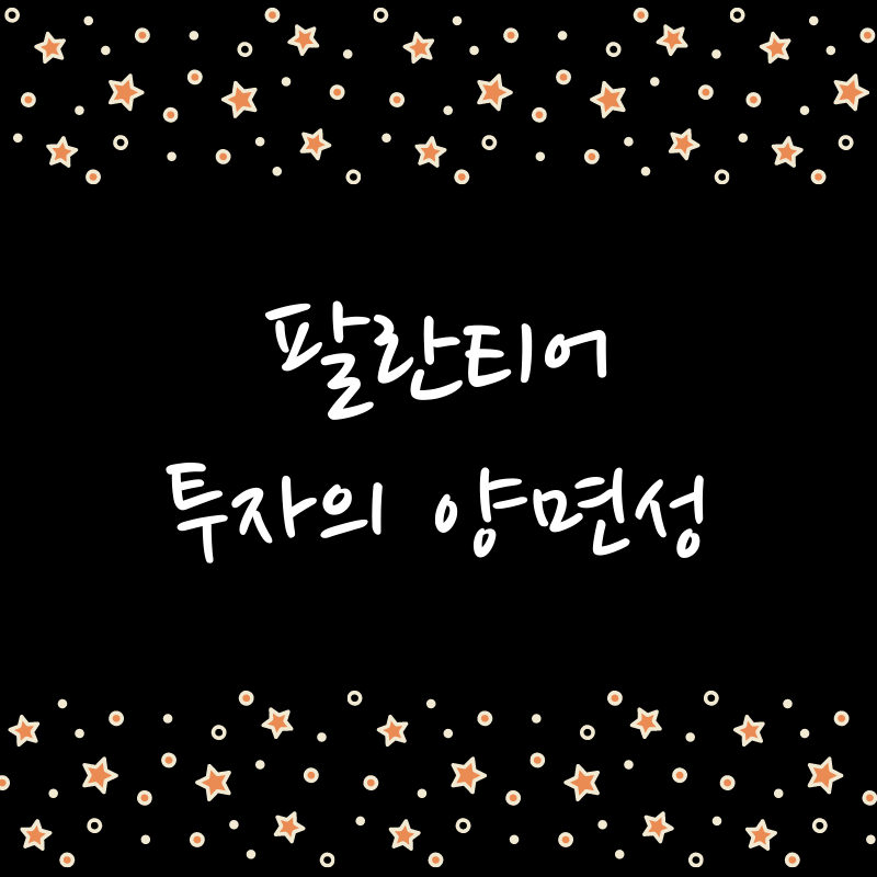  팔란티어 (PLTR) 투자의 양면성 1/2
