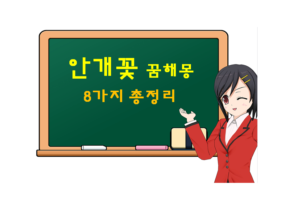  안개꽃 꿈해몽 8가지 총정리