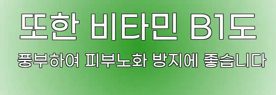  또한 비타민 B1도 풍부하여 피부노화 방지에 좋습니다