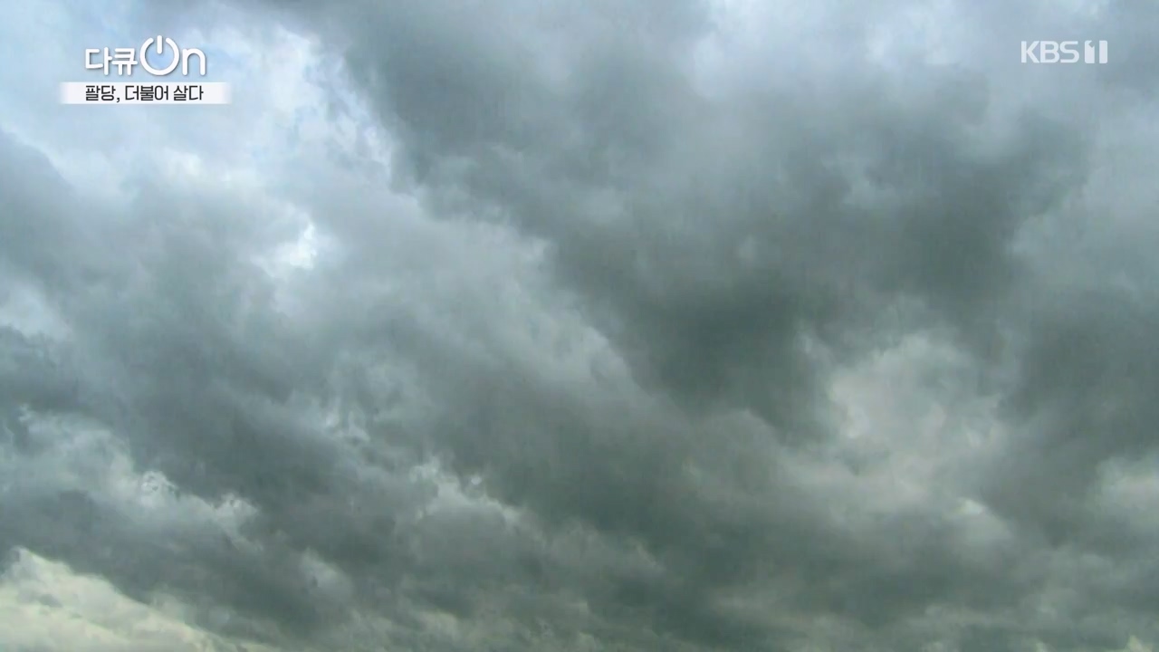 다큐 온.E208.230730p-NEXT.mp4_20230802_202546.618.jpg