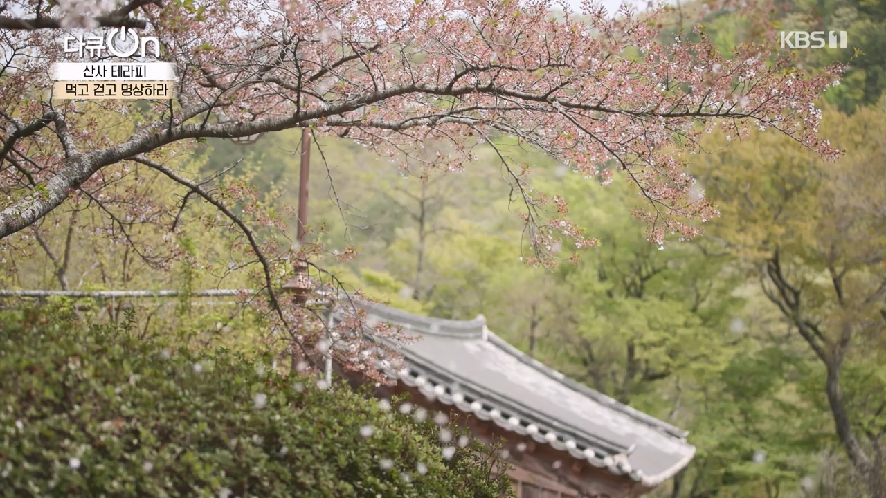 다큐 온.E257.240714p-NEXT.mp4_20240714_165348.581.jpg