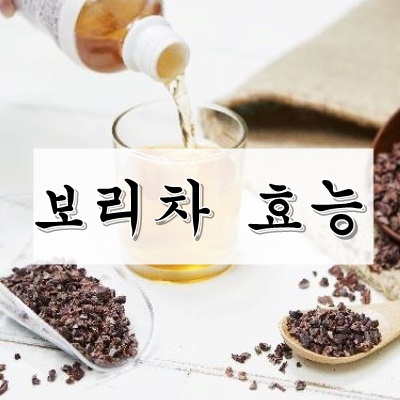  보리차 효능