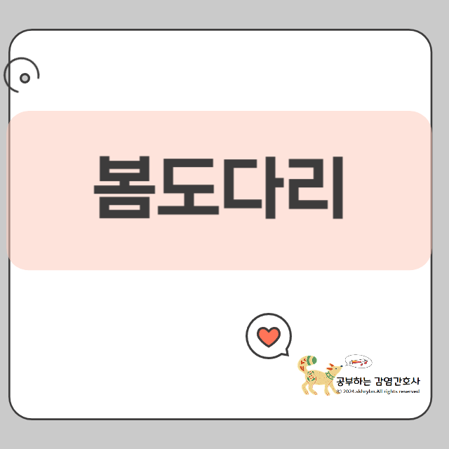 봄도다리 맛집 추천 – 전국에서 꼭 가봐야 할 도다리 전문점
