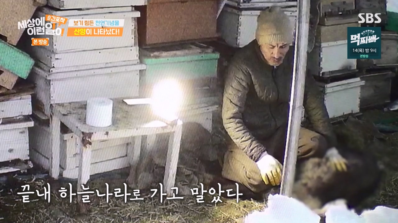 순간포착 세상에 이런일이.E1268.240310p-NEXT.mp4_20240310_132539.008.jpg