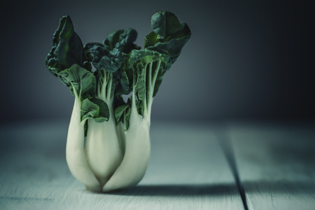 Cabbage